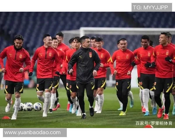 北京排球队比赛经验引发热议球迷观点分歧背后的深层原因探讨 北京排球队比赛经验引发热议球迷观点分歧背后的深层原因探讨