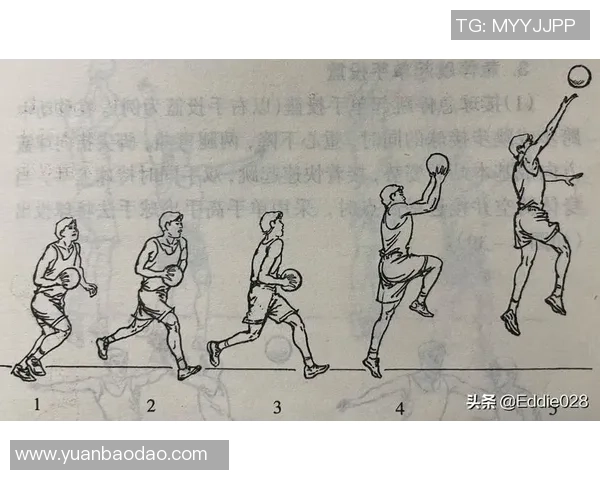 从零基础到篮球高手:全面提升速度与技巧的实用指南 从零基础到篮球高手:全面提升速度与技巧的实用指南