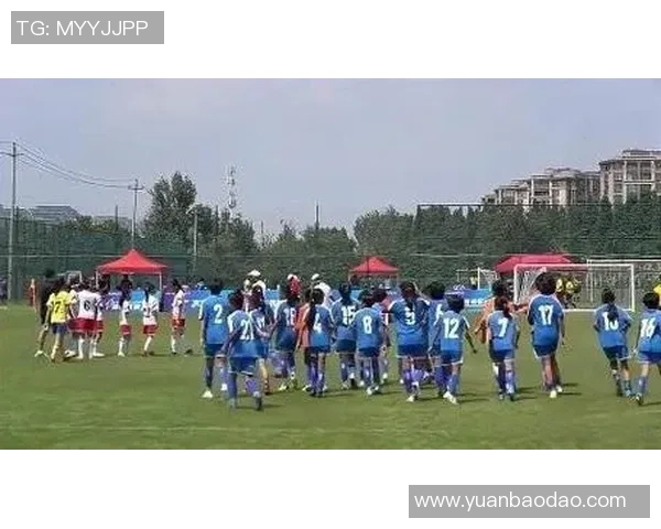 足球场上的14号传奇球员盘点哪些明星以此号码闪耀绿茵场