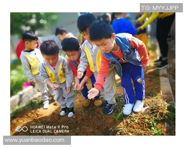 足球蛋糕女孩的梦想之旅与甜蜜成长故事