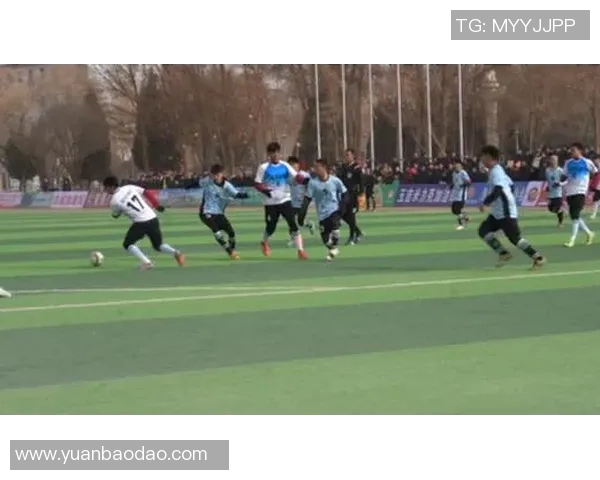 森林足球队的梦想与拼搏：在绿茵场上书写青春传奇