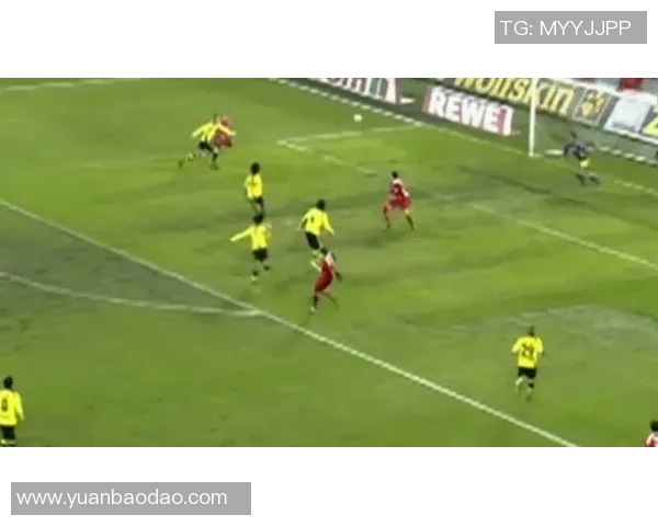 足球综艺真人秀推荐盘点让你领略球场魅力与明星风采的精彩节目