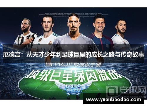 厄德高：从天才少年到足球巨星的成长之路与传奇故事