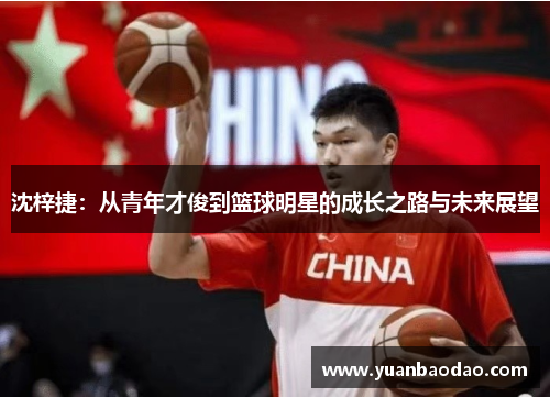 沈梓捷：从青年才俊到篮球明星的成长之路与未来展望