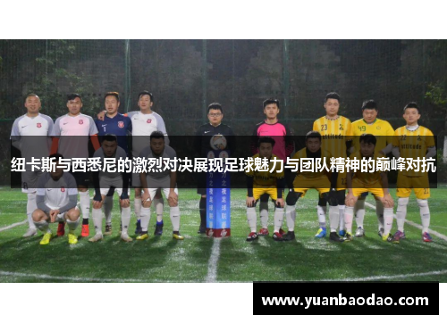 纽卡斯与西悉尼的激烈对决展现足球魅力与团队精神的巅峰对抗