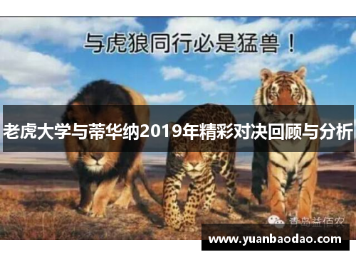 老虎大学与蒂华纳2019年精彩对决回顾与分析
