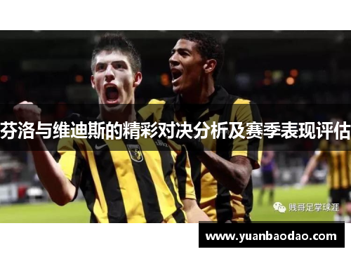 芬洛与维迪斯的精彩对决分析及赛季表现评估